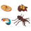 4 Pièces Insectes Simulation Modèles Pour Enfants 4