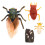 Set Of Simulation Cicada Growth Cycle Models For Kids 3