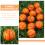 6 Mini Palloni Da Basket Antistress Per Relax 9