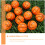 6 Mini Palloni Da Basket Antistress Per Relax 10
