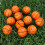 6 Mini Palloni Da Basket Antistress Per Relax 4