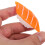8Pcs Imitated Food Models Realistic Fake Sushi Display Accessory 5