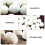 10 Uova Multifunzione Per Feste (Bianco) 7