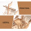 2 Set Puzzle In Legno , Kit 3D Da Assemblare 8