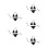 5 Set Costume Da Bagno Per Con Bikini E 6