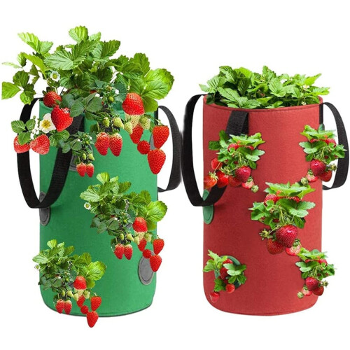 Βιώσιμη αστική γεωργία, ανάποδη γλάστρα με σχεδιασμό εξοικονόμησης χώρου για 1