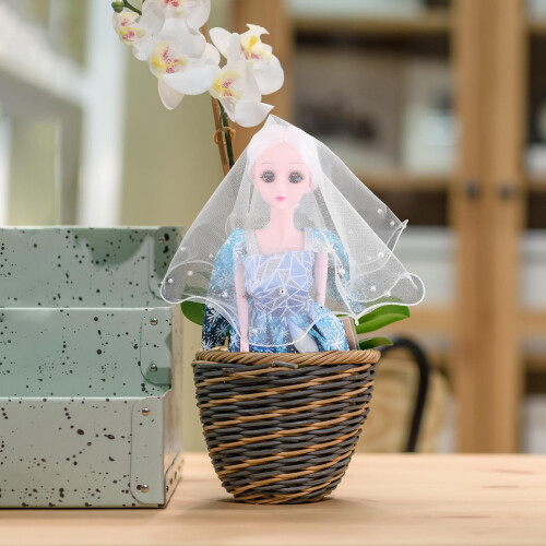 Sposa Con Per Accessorio Matrimonio 2