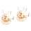 2 Sets Onafgewerkt 3D DIY Zonnestelselmodel 6