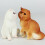 Figurine Chat En Réaliste Pour Décoration Intérieure 9