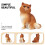 Figurine Chat En Réaliste Pour Décoration Intérieure 7