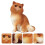 Figurine Chat En Réaliste Pour Décoration Intérieure 4