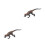 2 Sztuki Symulowane Dinozaurów Dla Dzieci 9