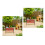 4 Unidades De Parque Para Miniatura De 10