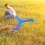 Soft Boomerang De Arremessar Para Iniciantes E Crianças 6