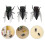 12 Unidades Cicada Figurinha: Inseto Para 11