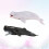 2 Pcs Animais Marinhos Plástico E Decoração 6