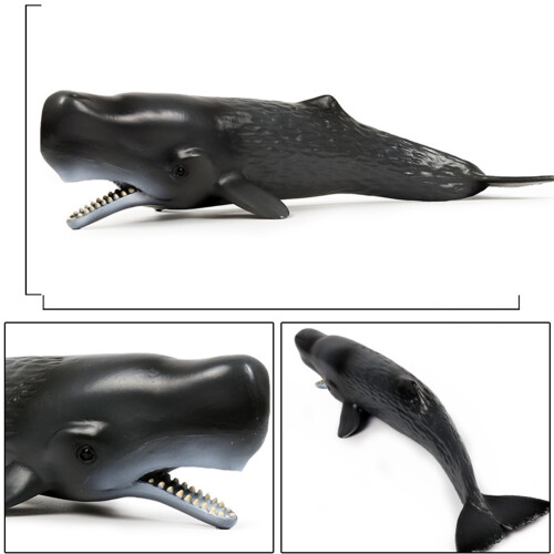 2 Pcs Animais Marinhos Plástico E Decoração 2