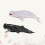 2 Pcs Animais Marinhos Plástico E Decoração 5