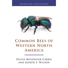 Common Bees of Western North America by Joseph S. Wilson Paperback Boo