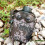 1 Set Aluminium Waterfles 1 L Voor Outdoor Camping 4