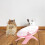 Exercício Antiderrapante Para Hamsters, Ouriços E Animais Pequenos 6
