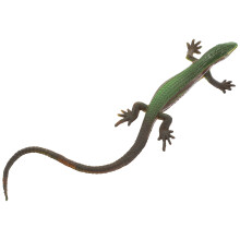 3Pcs Lagarto Réptil Plástico Simulação Falso Brinquedo