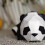1 Pezzo Panda 3D Da Te Decorazione 10