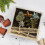 10 Pezzi Recinzione Legno 1:50 Per Case E 7