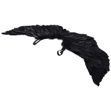 Children Pluim Vleugels Cosplay Halloween