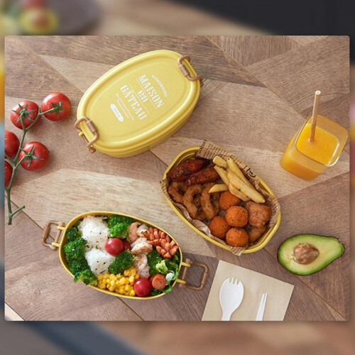 Double-layer Lunch Box Large Capacity Bento Box Food Storage Container Picnic 2