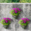 Indoor &outdoor Wall-mounted Flower Pot Hook 3