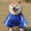 Reflective Dog Rainwear High Visibility Protective-Yellow M 7