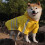 Reflective Dog Rainwear High Visibility Protective-Yellow M 6