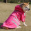 Reflective Dog Rainwear High Visibility Protective-Yellow M 5