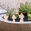 3Pcs Cogumelos De Para Artesanato DIY 6