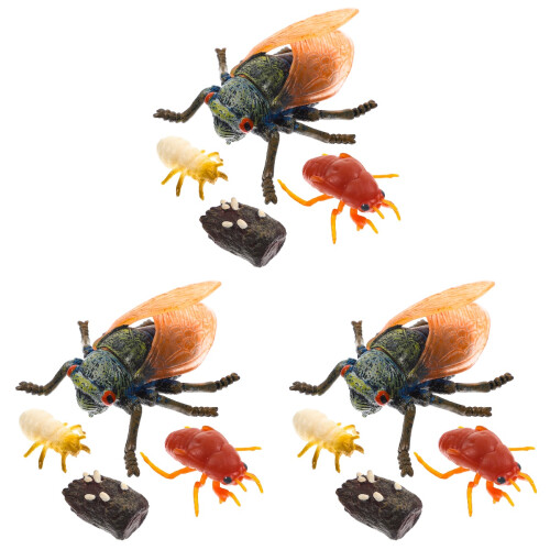 3 Ensembles De Modèles De Simulation Cycle De De Cicadé 1