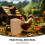 12 Unidades De Artificial Miniatura Madera Decoración 9