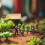 12 Unidades De Artificial Miniatura Madera Decoración 7