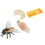 1Set Colorful Bee Growth Cycle Display Model Plastic Educational Toy 6
