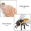 1Set Colorful Bee Growth Cycle Display Model Plastic Educational Toy 9