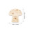 5 Pezzi Giocattoli Legno Forma Per Pittura Bambini 3