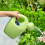 2 Giocattoli Da Doccia Resistenti All'Usura 8