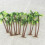 16 Peças Miniatura Parque Diorama 13 Cm 11