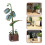 3Pcs -Cabeças De Flores 3D Para Adultos 10