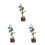 3Pcs -Cabeças De Flores 3D Para Adultos 9