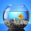 50Stk Kugeln Glasmurmeln Für Aquarium 6