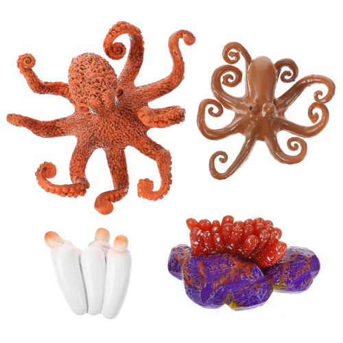 Conjunto Ciclo De Da , Brinquedo Educativo Insetos