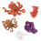 Conjunto Ciclo De Da , Brinquedo Educativo Insetos 5