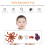 Conjunto Ciclo De Da , Brinquedo Educativo Insetos 7