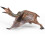 1St Pterosaurier Modell Deko Lebensechtes Dinosaurier Bastelset 9